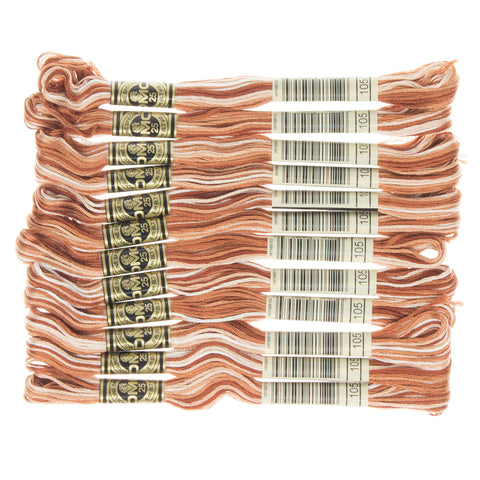 DMC 6-Strand Embroidery Cotton Floss, Variegated Brown