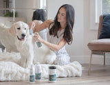 Zogics Dog Shampoo – Gentle, Deodorizing Pet Shampoo with Organic Oatmeal and Aloe, Hypoallergenic Shampoo for Dogs with Sensitive Skin, Cruelty-Free and Nontoxic, Big or Small Dog Shampoo (16oz) 16 oz