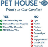 One Fur All, Pet House Candle - 100% Soy Wax Candle - Pet Odor Eliminator for Home - Non-Toxic and Eco-Friendly Air Freshening Scented Candles (Pack of 2, Sweet Cranberries) Pack of 2