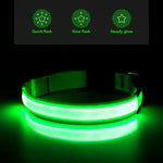 Illumifun LED Safety Dog Collar, USB Rechargeable Light Up Dog Collars, Glowing Puppy Collar for Your Small Dogs (Green, Small) Small[14.1-15.7 inch/36-40 cm] Green