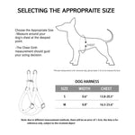 GreenTopic Hemp Dog Accessories Bundle.Hemp Dog Leash,Hemp Green Dog Collar & Hemp Step in Harness for Small Dogs & Medium Dogs.Green Hypoallergenic Dog Collar,Harness & Leash. Hemp Dog Combo