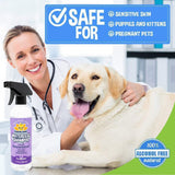 New Waterless Dog Shampoo | All Natural Dry Shampoo for Dogs or Cats No Rinse Required | Made with Natural Extracts | Vet Approved Treatment - Made in USA - 1 Bottle 17oz (503ml) Lavender Waterless