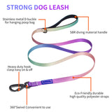 AIITLE Step in Dog Harness Collar Leash Set - Adjustable Heavy Duty No Pull Halter Harness - Buckle with Locking System,Double D Ring - Walking Running for Small Medium Large Dogs,Pink Gradient XS Pink