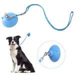 Cimoon Pet Dog Bathing & Grooming Suction Cup with Grooming Loop - Keeps Dog in Bathtub or Shower Tether Straps Restraints to Grooming Tub Walls- Any Size Dog（Light Blue） Suction cup diameter：8cm LIGHT BLUE