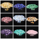 7 Chakra Natural Chip Stone Beads 3-5mm 100g About 500 Pieces Irregular Gemstones Healing Crystal Loose Rocks Bead Hole Drilled DIY for Bracelet Jewelry Making Crafting (3-5mm, 7 Chakra Color Mix)