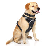 WINSEE Dog Harness No Pull, Pet Harnesses with Dog Collar, Adjustable Reflective Oxford Outdoor Vest, Front/Back Leash Clips for Small, Medium, Large, Extra Large Dogs, Easy Control Handle for Walking L Black
