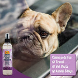 Bodhi Dog Natural Pet Cologne | Premium Scented Perfume Body Spray for Dogs and Cats | Clean and Fresh Scent | Natural Conditioning Qualities | Made in USA (Calming Lavender, 8 Fl Oz) Calming Lavender 8 Fl Oz (Pack of 1)