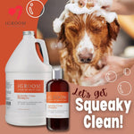 iGroom Squeaky Clean Dog Shampoo, Luxury Pet Beauty Care, Intense Cleaning Power, Chamomile Extracts Sooth Skin, Made in USA, 16 oz 16 Ounce