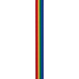 Offray 435991 5/8" Wide Grosgrain Ribbon, Rainbow Stripe, 3 Yards