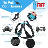 Dog Harness and Leash Set-No Pull Dog Harness for Medium Size Dogs- Color Black. Includes a Free 5 Foot Leash and a Doggy Seatbelt