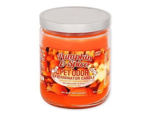 Candle Pumpkin Spice