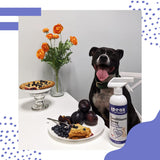 Speak Pet Products Natural Brightening Blueberry Plum Dog Leave-in Conditioning Spray, 17oz