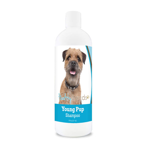 Healthy Breeds Border Terrier Young Pup Shampoo 8 oz