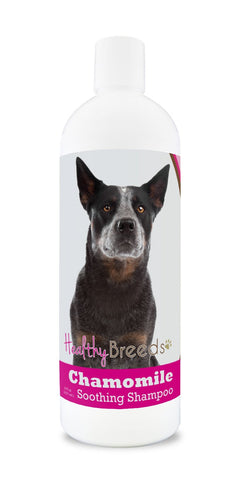 Healthy Breeds Australian Cattle Dog Chamomile Soothing Dog Shampoo 8 oz