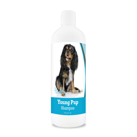 Healthy Breeds Cavalier King Charles Spaniel Young Pup Shampoo 8 oz