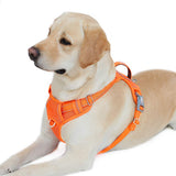 BARKBAY No Pull Dog Harness Front Clip Heavy Duty Reflective Easy Control Handle for Large Dog Walking with ID tag Pocket(Orange,L) Large(Chest:27-32") Orange