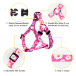 QQPETS Dog Harness Leash Set Adjustable Heavy Duty No Pull Halter Harnesses for Small Medium Large Breed Dogs Back Clip Anti-Twist Perfect for Walking (XS(12"-18" Chest Girth), Daisy) XS(12"-18" Chest Girth)
