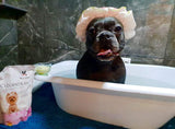 Warren London Cleopatra's Doggy Milk Bath | Luxurious Dog Shampoo and Conditioner w/Whole Milk Powder and Honey for Silky Smooth Coat | Use as a Full Bath Soak or Spray On Dog Shampoo | 12oz 12 oz