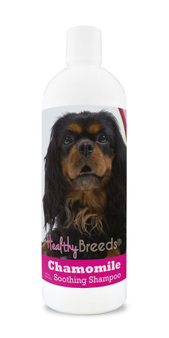 Healthy Breeds English Toy Spaniel Chamomile Soothing Dog Shampoo 8 oz
