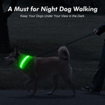 Illumifun LED Safety Dog Collar, USB Rechargeable Light Up Dog Collars, Glowing Puppy Collar for Your Small Dogs (Green, Small) Small[14.1-15.7 inch/36-40 cm] Green