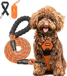 Dog Harness and Leash Set-No Pull Dog Harness for Medium Size Dogs- Color Black. Includes a Free 5 Foot Leash and a Doggy Seatbelt