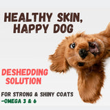 Kelebs Undercoat Control deShedding Dog Shampoo Bar | Reduces Shedding, Bar Soap Undercoat Removal | Coconut Oil & Shea Butter | All Natural - Organic Ingredients - Zero Plastic Waist Vegan 3x4pc Deshedding Shampoo