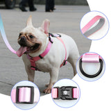 Dog Collar Harness and Leash Set Pink Color, Adjustable Lightweight Pet Harness & Leash, Fashionable Comfortable no Pull Rope Set for Small & Medium Dog Neon Pink Collar Harness Leash