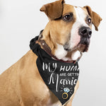 My Humans are Getting Married She Said Yes Dog Bandana, Wedding Engagement Photos, Pet Scarf Accessories,Pet Accessories for Dog Lovers, Bridal Shower Gift, Pack of 2