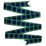 Morex Ribbon Edinburgh Ribbon, 1 inch by 27 Yards, Campbell, 97525/25-02