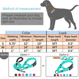 haapaw 2 Packs Martingale Dog Collar with Quick Release Buckle Reflective Dog Training Collars for Small Medium Large Dogs M-Martingale collar Turquoise, Martingale Collar+Leash