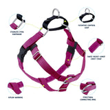 2 Hounds Design Freedom No Pull Dog Harness | Adjustable Gentle Comfortable Control for Easy Dog Walking |for Small Medium and Large Dogs | Made in USA | Leash Included | 1" LG Raspberry LG (Chest 28"- 32")
