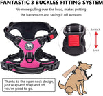 PoyPet Dog Harness and Leash Combo, Escape Proof No Pull Vest Harness, with 5 Feet Leash, Reflective Adjustable Soft Padded Pet Harness with Handle for Small to Large Dogs(Pink,M) Medium Pink
