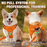 Dog Harness Step in Dog Vest Harness , Reflective Adjustable Puppy No Pull Harness Breathable Soft for Small and Medium Dogs,Cats Orange