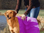 Hertzko Microfiber Pet Bath Towel, Ultra-Absorbent & Machine Washable for Small, Medium, Large Dogs and Cats (Purple) Purple