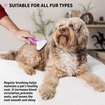 Poodle Pet Slicker Brush for Small and Large Dogs Pet Hair Remover | Effectively and Effortlessly Removes Tangles, Mats, and Loose Hair | for Short or Long Hair(Grooming Brush)