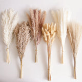 110 PCS Dried Pampas Grass Bouquet, Boho Table Decor, Bunny Tails Dried Flowers, Brown Pompas, White Pampas Grass for Wedding, Home, Rustic Party, Baby Shower Decorations 110pcs Pampas Grass