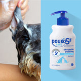 Douxo S3 Care Shampoo 16.9 oz (500 mL) - for Regular Use with Dogs and Cats 16.9 Fl Oz (Pack of 1)