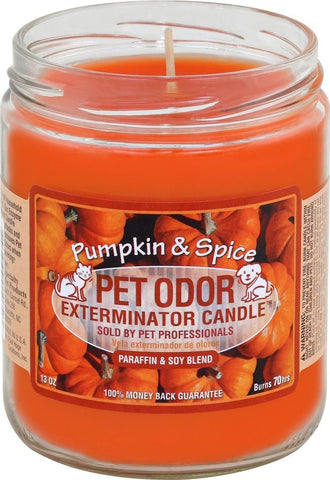 Specialty PET Products Pet Odor Exterminator Candle Pumpkin & Spice 1
