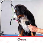 Rita's Pet Supplies Pet Slicker Brush with Free Mini Comb, Stainless Steel Pin-Slicker Brush, Detangler Brush for Dematting, Deshedding Fur & Undercoat for Dogs, Puppies, Cats & Fur Pets Grooming Tool
