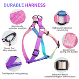AIITLE Step in Dog Harness Collar Leash Set - Adjustable Heavy Duty No Pull Halter Harness - Buckle with Locking System,Double D Ring - Walking Running for Small Medium Large Dogs,Pink Gradient XS Pink