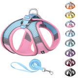 AIITLE Step in Dog Harness and Leash Set - Dog Vest Harness with Super Breathable Mesh, Reflective No-Pull Pet Harness for Outdoor Walking, Training for Small Dogs, Cats Pink XXS XX-Small