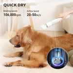 uahpet Pet Dryer for Dog, Portable Handheld Pet Grooming Hair Dryer Less Noise Dog Blow Dryer with NTC Smart Temperature Control High Velocity Pet Force Dryer for Household Travel Camping