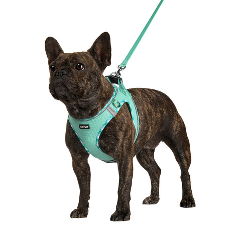 AMTOR Dog Harness with Leash Set,No Pull Adjustable Reflective Step-in Puppy Harness with Padded Vest for Extra-Small/Small Medium Large Dogs and Cats(Green) Small(Chest:13.5"-16.0") LightGreen
