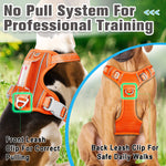 BARKBAY No Pull Dog Harness Front Clip Heavy Duty Reflective Easy Control Handle for Large Dog Walking with ID tag Pocket(Orange,L) Large(Chest:27-32") Orange