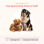 PAWFUME 2-in-1 Pet Brush – Dog Hair Brush – Cat Hair Brush – Dog Grooming Brush – Cat Grooming Brush – Soft Dog Brush for Long Haired Dogs – Soft Cat Brush for Long Haired Cats – Short Hair Dog Brush
