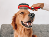 Tuff Pupper Double Sided Dog Brush | Two Sided Pin & Bristle Pet Brush | Pin Comb For Detangling & Dematting | Dense Bristle Brush For Removing Dirt & Loose Hair From Topcoat | Short or Long Cat Hair Double Sided Brush