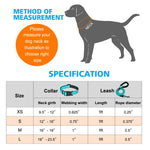 Ladoogo Reflective Dog Collar Padded with Soft Neoprene Breathable Adjustable Nylon Dog Collars for Small Medium Large Dogs (Collar+Leash M Neck 16"-19", Blue) Medium (Pack of 1) Blue Collar+Leash
