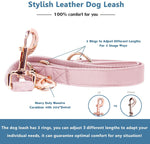 Soft Leather Dog Collar and Leash (6.6') Set - Stylish Rose Gold Heavy Duty Metal Buckle, 4 Adjustable Lengths Leash for Small Medium Large Dogs - Comfortable & Easy to Clean Pink S(12.2"-16.9") S(12.2"-16.9")