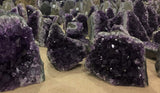Extreme Rocks & Fossils Amethyst Cluster - 1 to 1.5 pounds of Powerful, deep Purple Crystals. Geode from Uruguay. Includes Bonus 3 inch Selenite Wand 1 lbs - 1.5 lbs