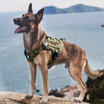 Tactical Dog Harness, Full Body Dog Harness with Handle Heavy Duty Dog Vest for Hiking Training Outdoor Dogs(Ranger Green, Large) L